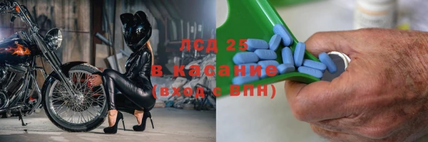 индика Корсаков
