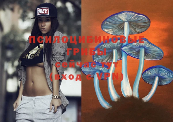 2c-b Кодинск