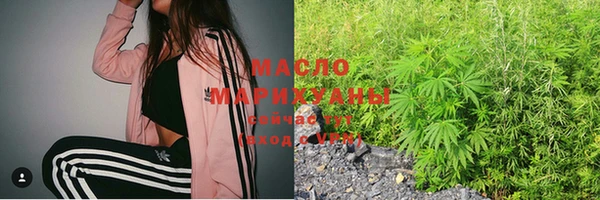 индика Корсаков