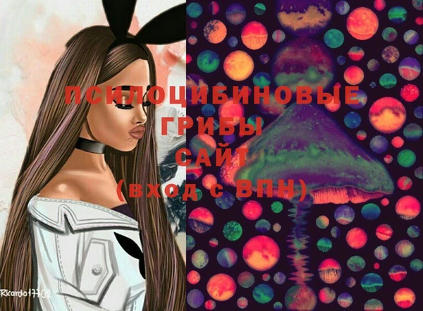 индика Корсаков