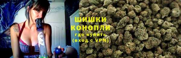 индика Корсаков