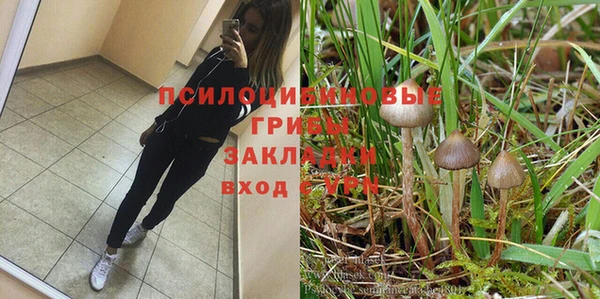 apvp Коряжма