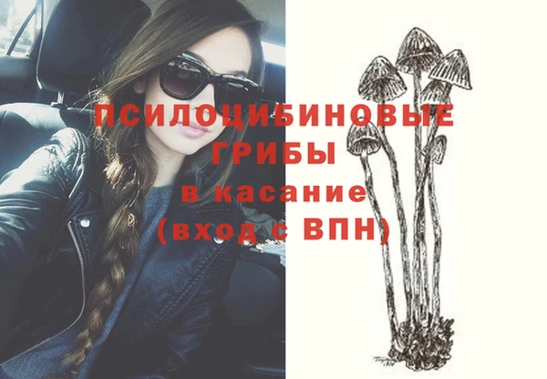 apvp Коряжма