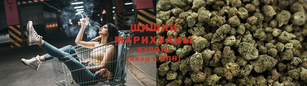 apvp Коряжма