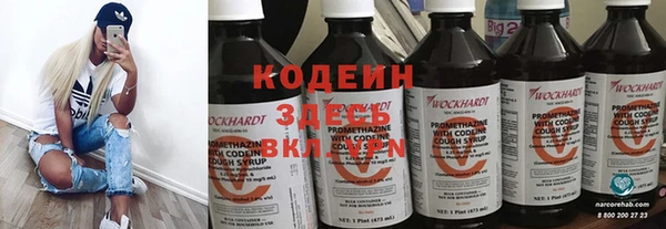 индика Корсаков