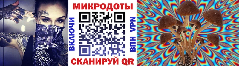 Галлюциногенные грибы мухоморы  mega ONION  Кинешма 