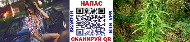 Каннабис семена Кинешма